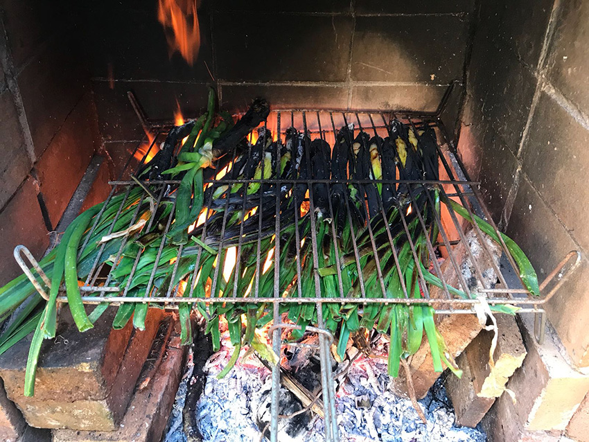 11 Calcotata 2018